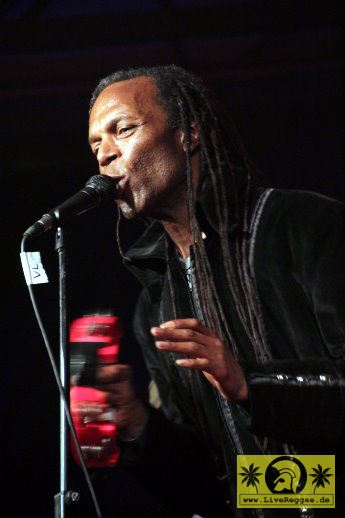 The Beat (UK) 19. This Is Ska Festival - Wasserburg, Rosslau 26. Juni 2015 (7).JPG